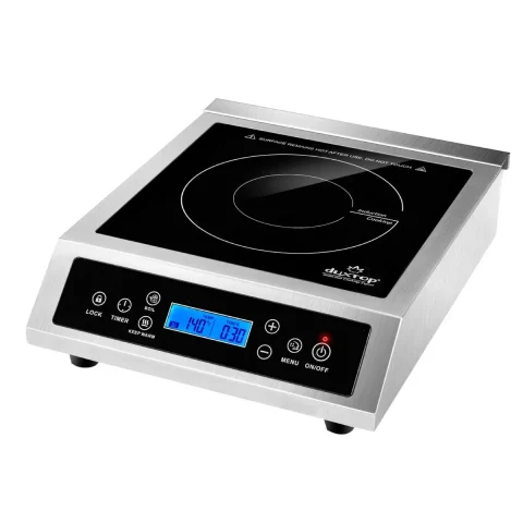 Product photo of the Duxtop P961LS Professional, shown on its own without cookware.